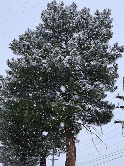 Snow in Tucson